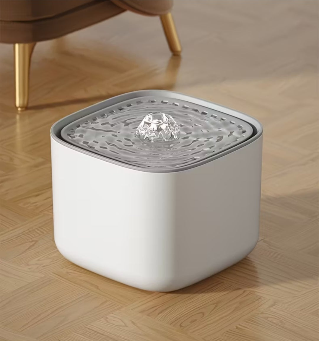 Fontanna Petivo dla zwierząt